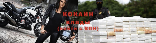 гидра Нея