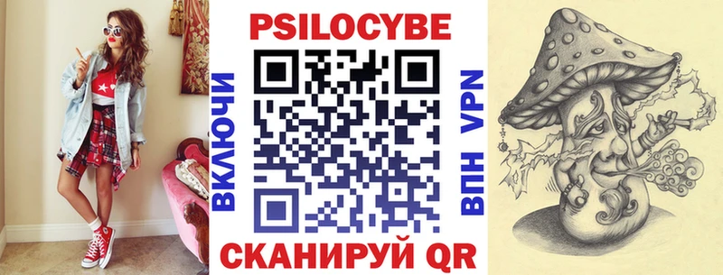 Псилоцибиновые грибы Psilocybine cubensis  Ядрин 